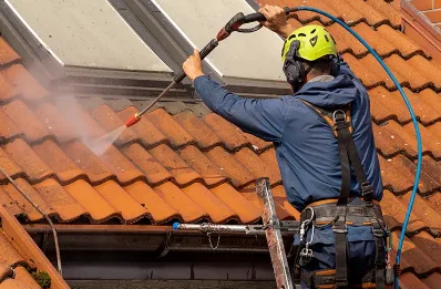 Démoussage et hydrofuge de toiture à Lisle
